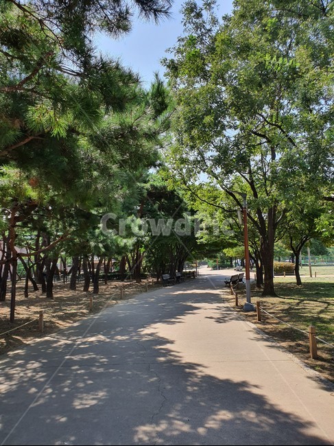 산착로,산책,길,자연,나무,정원,가든,tree,garden,walk