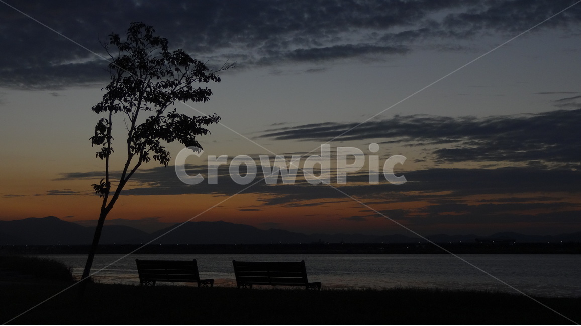 노을,sunset,석양,해질녘,일몰,gradationsnset,낙동강,부산,한국,southkorea,busan,river,삼락체육공원,가을,쓸쓸함,고독함,풍경,자연,풍경,nature,landscape,고독함,외로움,쓸쓸함,우울함,슬픔,lonely,solitary,outdoors,옥외,dusk,황혼,sky,하늘,dawn,새벽,red sky,붉은 하늘,tree,나무,plant,식물