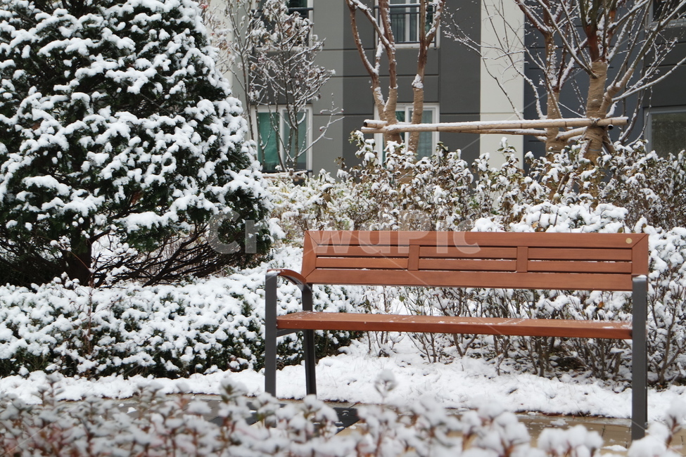의자,눈,겨울,공원,snow,winter,chair