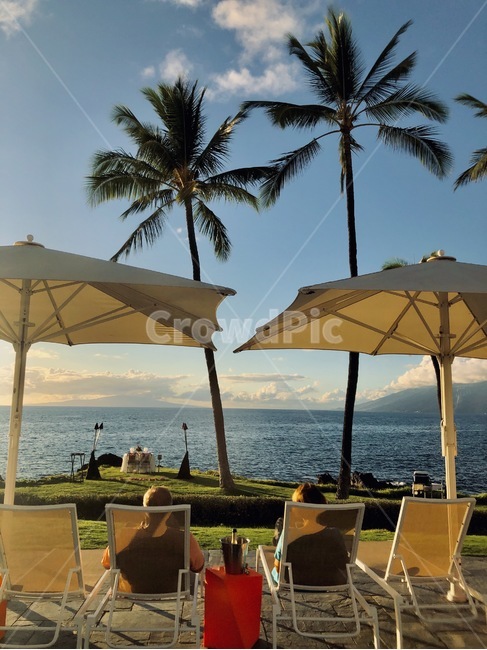 하와이,호텔해변,호텔,해변,비치,beach,hawaii,summer,여름,신혼