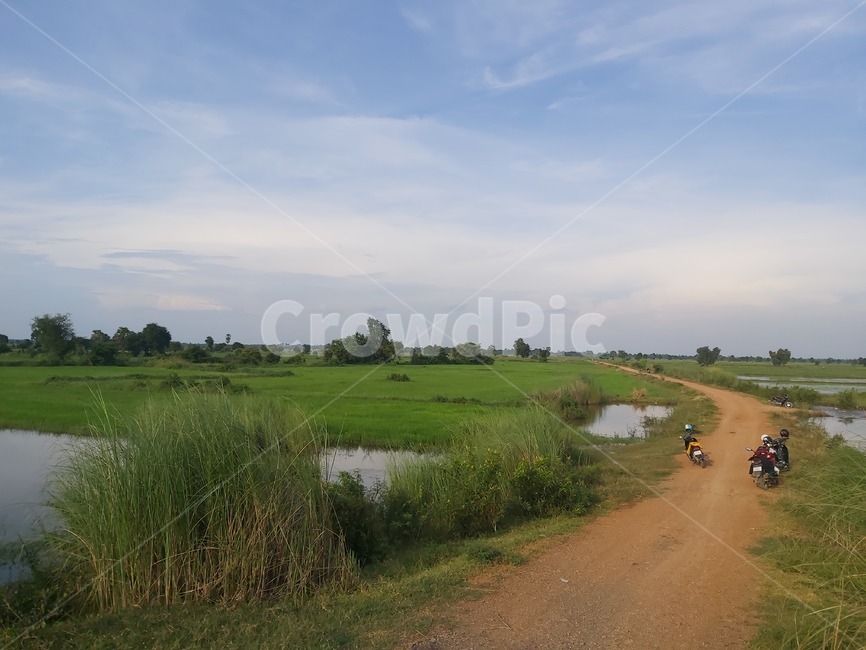 농촌,들,옥외,야외,흙길,낮,들판,목초지,field,outdoors,grassland,local,localarea