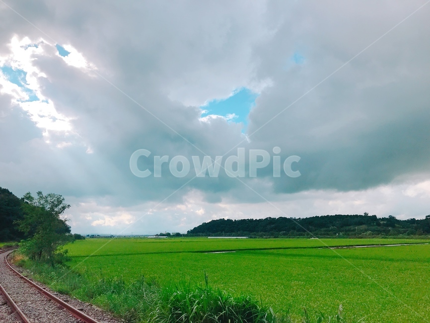 구름,하늘,풍경,논,철로,자연,풍경,nature,landscape,grassland,목초지,field,들,outdoors,옥외,paddy field,패디 필드