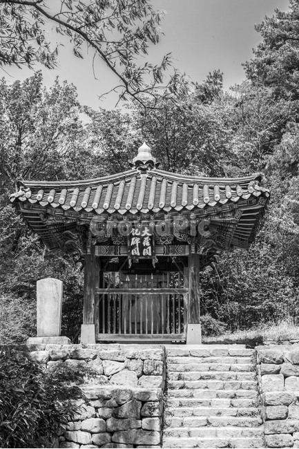 신륵사,대장각기비,문화유산,보물,관광명소,사찰,한국전통,한국문화,korean traditional,korean culture,흑백,모노톤,monochrome,black and white