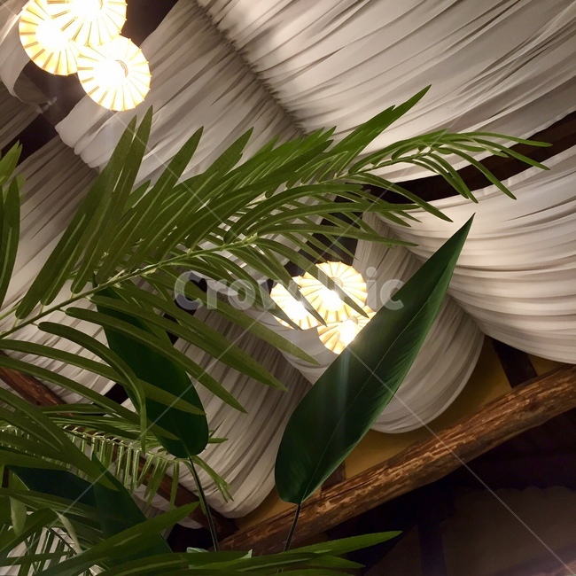 homedecor,가정장식,식물,plant,조명,인테리어,인테리어,실내디자인,interior design