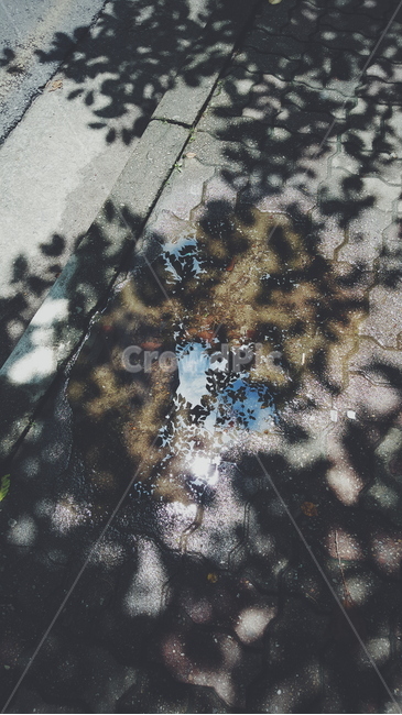 빗물,길거리,반사,구름,풍경,colorful,rain,street,낮,햇빛,실루엣,그림자,silhouette,shadow