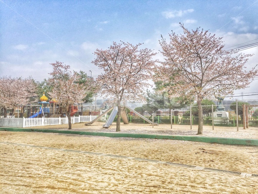 벗꽃,배경,풍경,감성,하늘,놀이터,놀이공원,놀이동산,놀이터,amusement park,playground