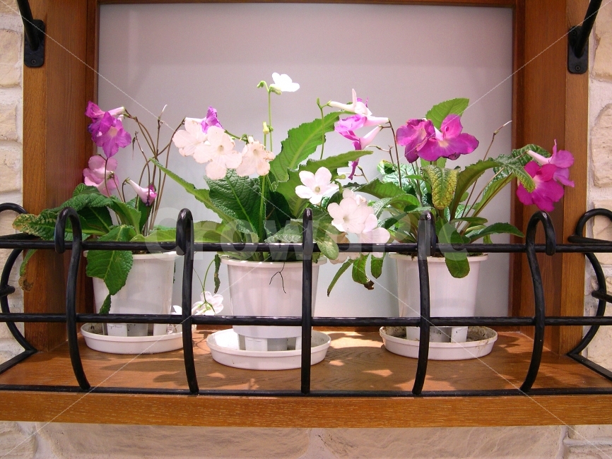 꽃,화분,장식,장식품,소품,인테리어,실내,실내장식,데코,데코레이션,decoration,식물,자연,plants,nature,꽃,flower,인테리어,실내디자인,interior design