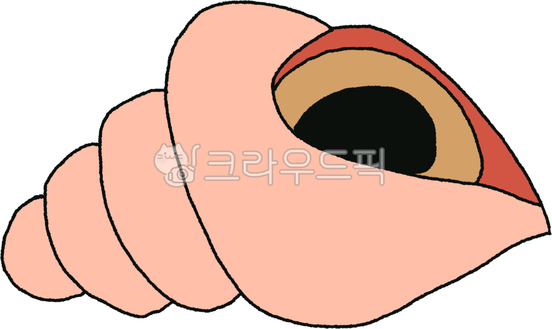 소라고동,소라,바다생물,생물,분홍소라