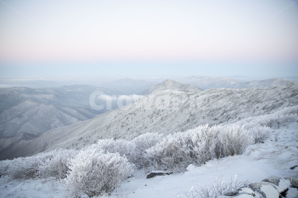 설산,태백산,겨울산,겨울,상고대,풍경,겨울풍경,눈꽃,nature,자연,mountain,산,겨울,계절,winter,season,자연,풍경,nature,landscape