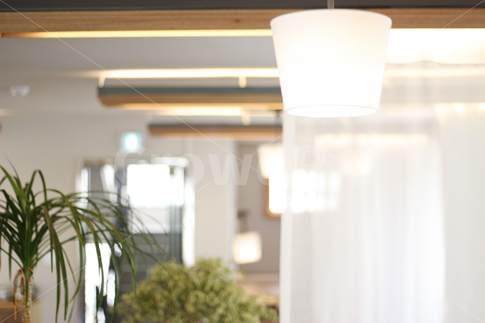 조명,커튼,인테리어,화분,식물,자연,카페,인테리어,실내디자인,interior design