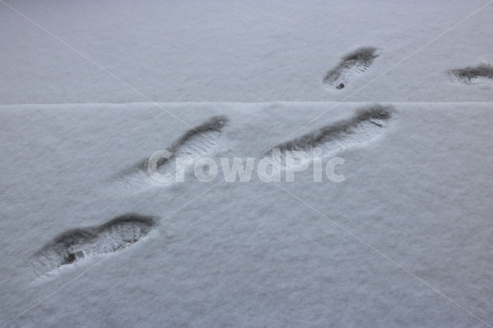 눈,눈길,발자국,겨울,풍경,눈밭,폭설,흰색,흰눈,겨울사진,snow,white,trace,흔적,겨울,계절,winter,season