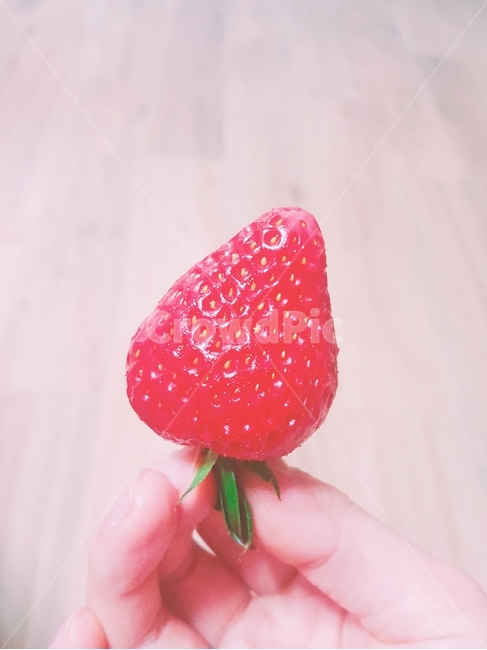 딸기,strawberry,빨간색,red,초록색,green,과일,열매,fruit