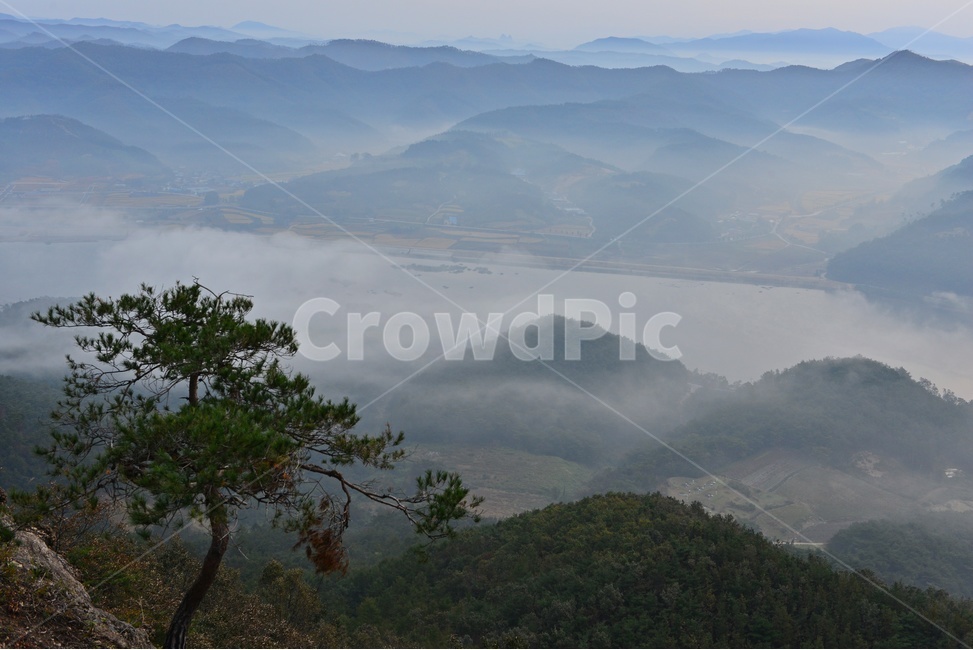 임실,국사봉,국사봉일출,여명,아침,해돋이,운해,소나무,nature,자연,mountain,산,mountainrange,산맥,outdoors,옥외,자연,풍경,nature,landscape