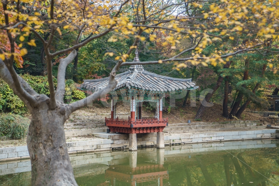창덕궁,창덕궁후원,가을,풍경,고궁,정취,미녀와야수교,나들이,정자,가을,계절,fall,autumn,season,한국전통,한국문화,korean traditional,korean culture,랜드마크,landmark,tourist attraction,한국랜드마크,한국관광지,한국명소,korea landmark,korea tourist attraction,gazebo,전망대
