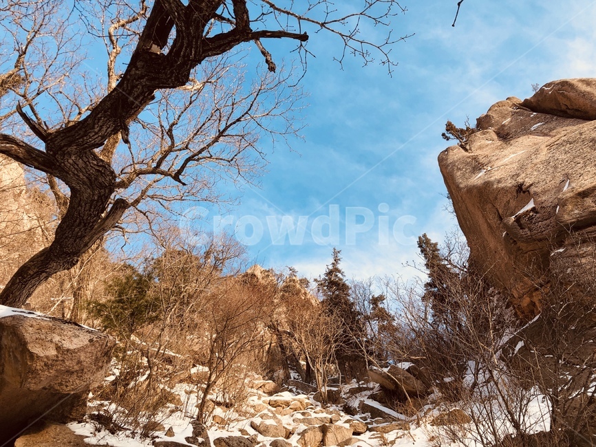 설악산,눈,하늘,겨울,산행,등산,맑은,겨울,계절,winter,season,자연,풍경,nature,landscape,tree,나무,plant,식물,tree trunk,나무 줄기