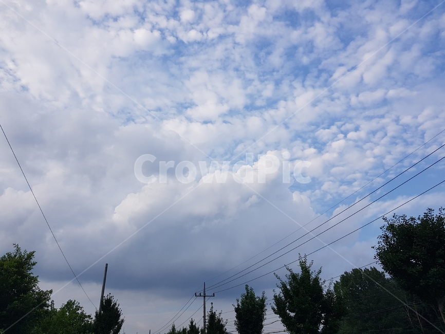 구름,하늘,파란하늘,하얀구름,뭉게구름,전봇대,전신주,cloud,sky,bluesky,파란색,하얀색,전선,cable,맑은하늘