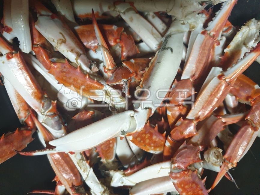 게,게다리,음식,요리,참게,꽃게,꽃게다리,해산물,찜,꽃게찜,seafood,해물,해양생물,sealife,food