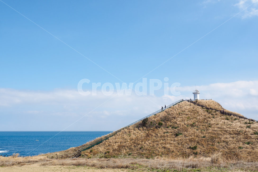 제주도,바다,섭지코지,봄,등대,자연,풍경,nature,landscape,한국자연풍경,한국자연경관,korea nature landscape,등대,lighthouse,제주도,jeju,jeju island,grassland,목초지,outdoors,옥외,field,들