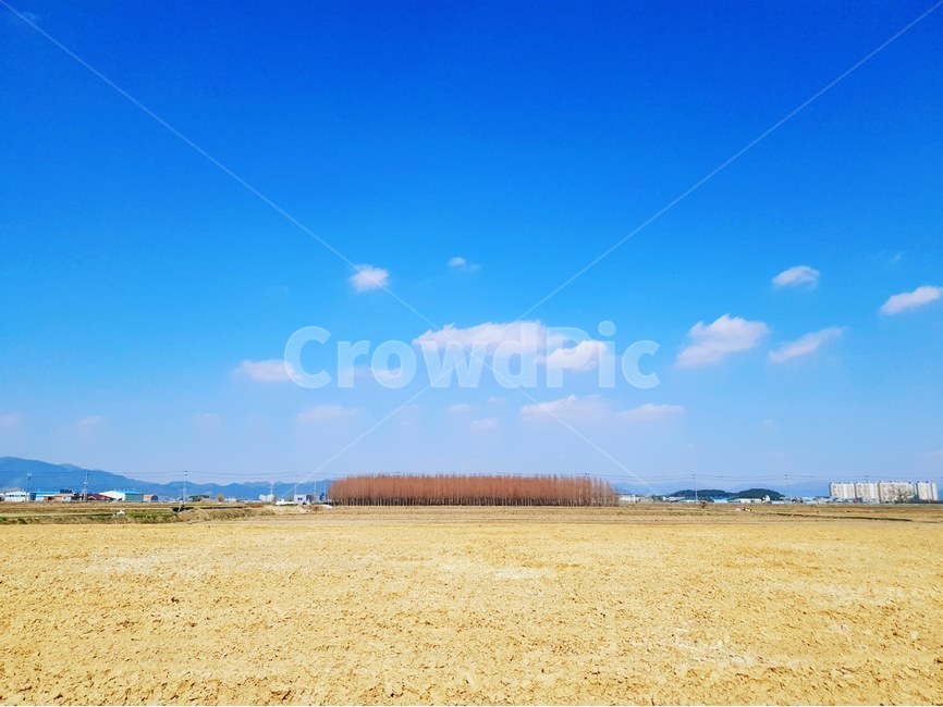 nature,자연,outdoors,옥외,나무,파란하늘,농촌,시골,구름