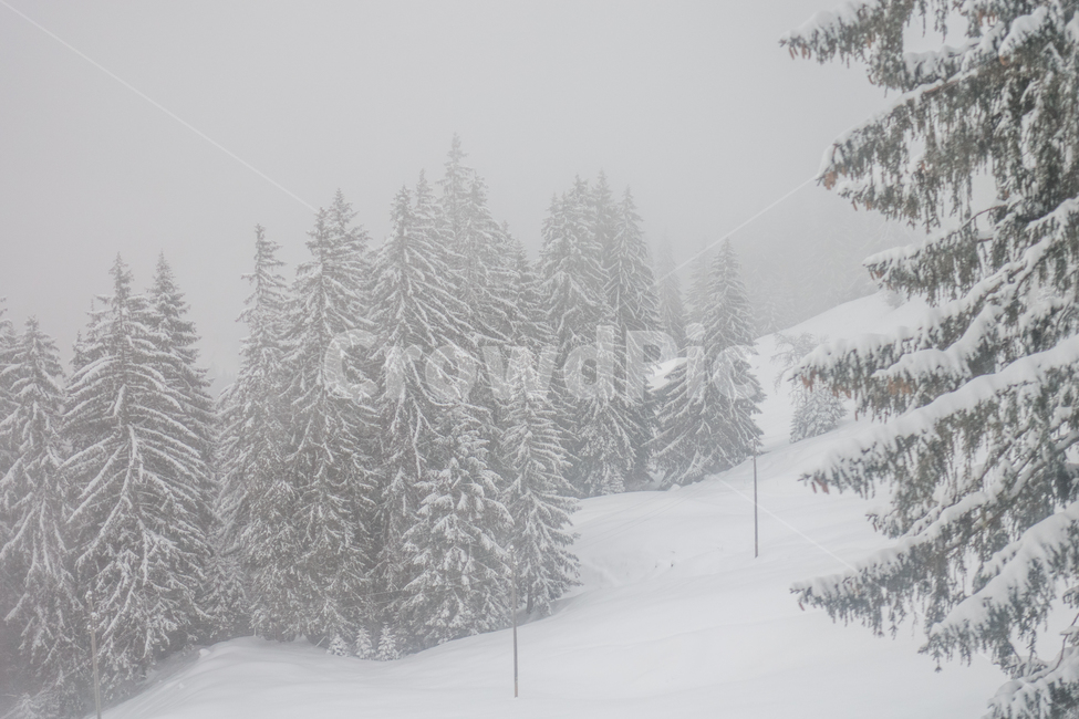 스위스,산,인터라켄,알프스,융프라우,뮤렌,swiss,mountain,interlakin,alps,jungfrau,murren,겨울,눈,겨울왕국,winter,frozen,storm,폭풍,outdoors,옥외,snow,자연,nature,blizzard,눈보라,겨울,계절,winter,season,자연,풍경,nature,landscape