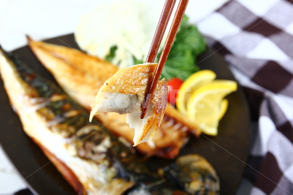 고등어,생선,등푸른생선,구이,생선구이,해산물,음식,식품,신선,싱싱,mackerel,fish,grill,seafood,food,fresh,crispy,음식,식재료,요리,food,cook,meal,dishes,food reserves