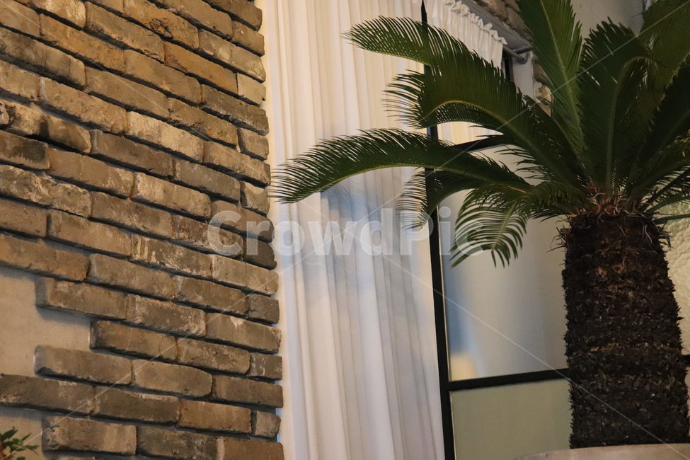 인테리어,야자잎,그린잎,카페,커튼,cafe,여름,시원한