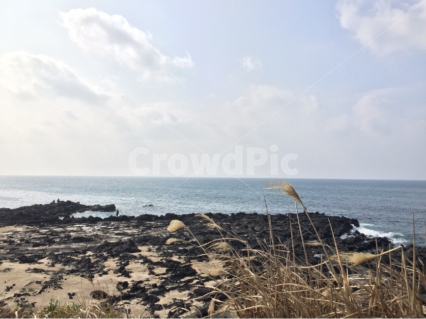 바다,제주도,겨울,맑음,제주도바다,푸른,자연,풍경,nature,landscape,한국자연풍경,한국자연경관,korea nature landscape,해변,바다,beach,sea,제주도,jeju,jeju island,outdoors,옥외,water,물,ocean,대양,shoreline,해안선