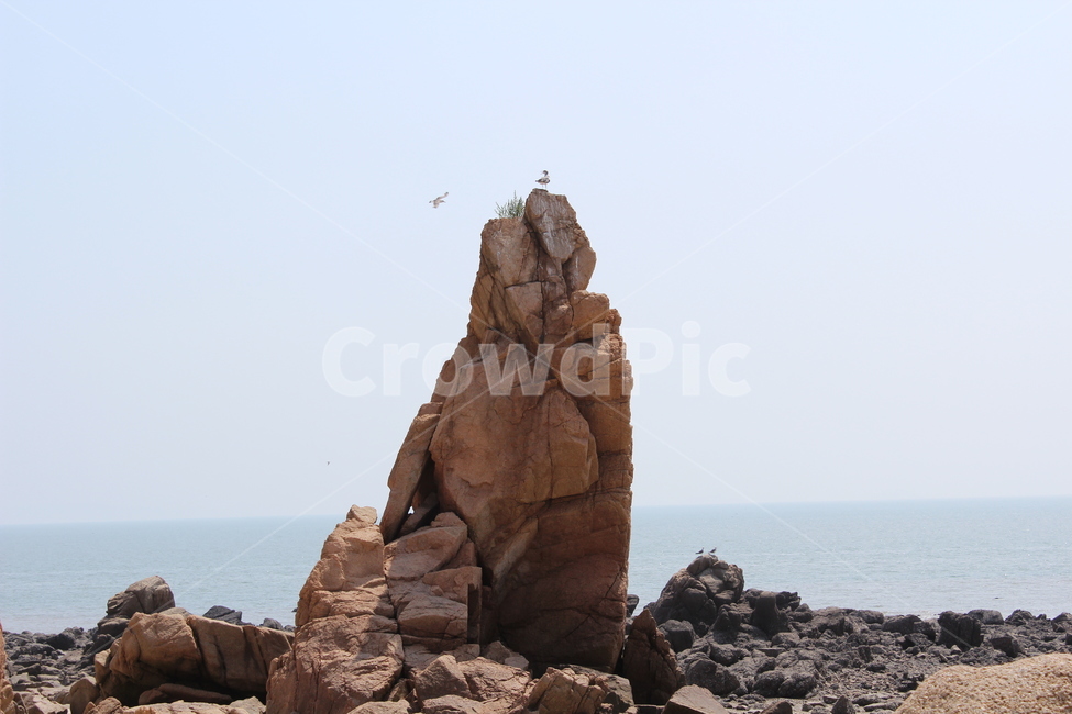 바위,선녀바위,바다,암석,가을,인천,자연,풍경,nature,landscape,동물,animal,조류,새,birds,promontory,곶