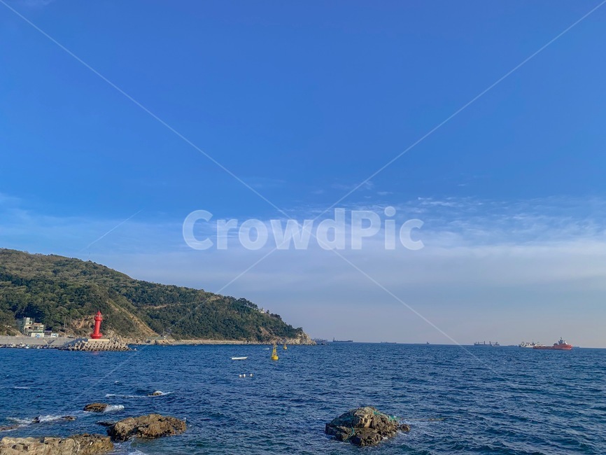 제주도,바다,여름,푸른바다,배경,하늘