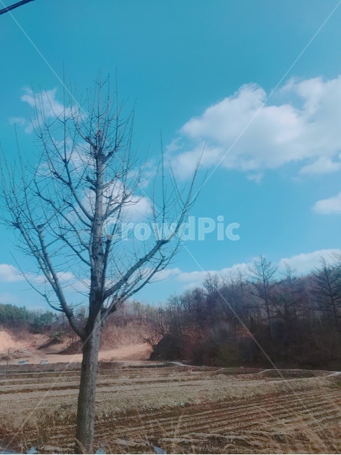 시골,밭,산,하늘,구름,나무,한국,논밭