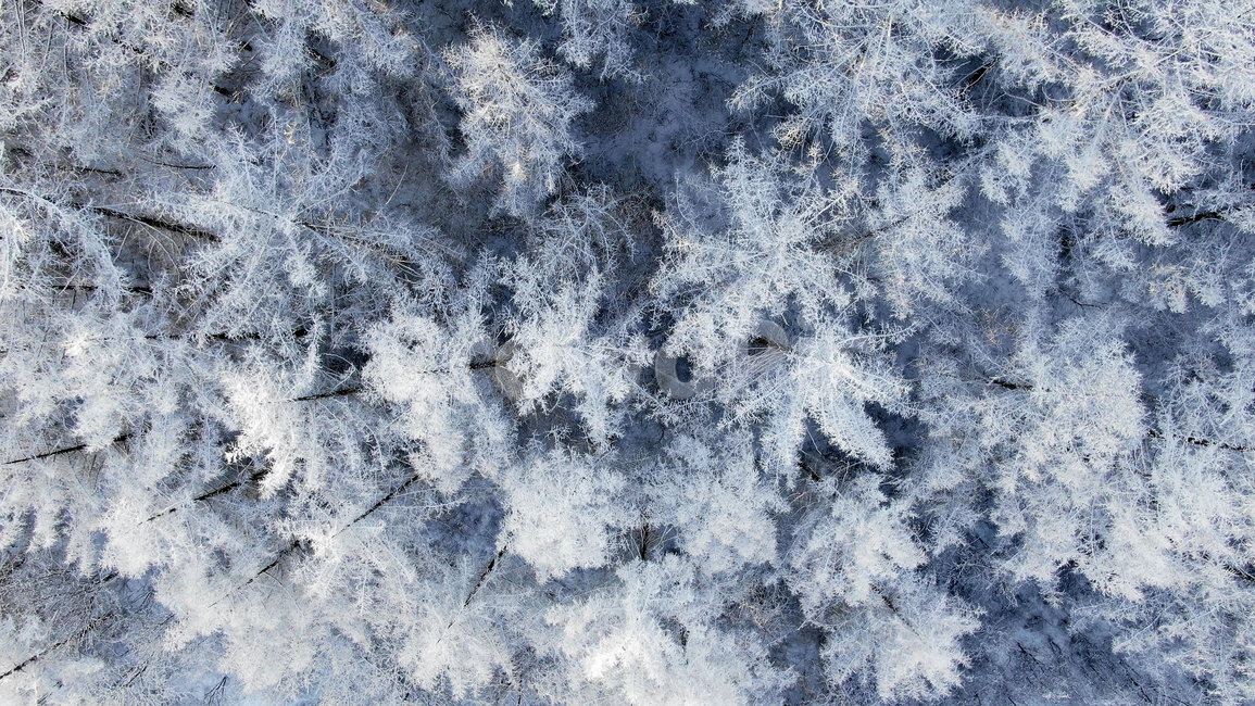 nature,자연,ice,빙,outdoors,옥외,눈꽃,상고대,드론,직부감,나무,겨울나무,눈,설경,겨울,계절,winter,season,자연,풍경,nature,landscape,식물,plants,나무,trees,wood