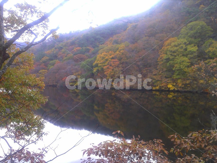 단풍,가을,주산지,청송,저수지,가을,계절,fall,autumn,season