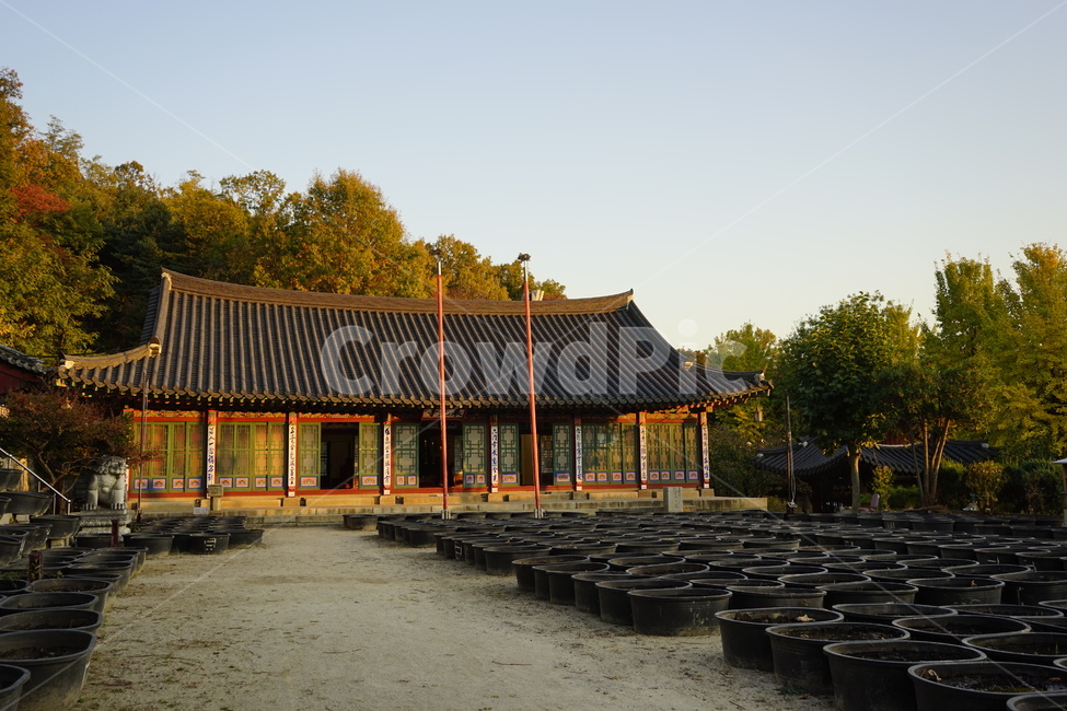 사찰,절,전통한옥양식,기와,건물,architecture,temple,신사,worship,building,처마,한국건축,건축물,천년고찰,단청,기둥,문,현판,기와지붕,디자인,전통,역사,아소정,이건,저녁햇살,하늘,구름,고전,대원군,흥선대원군,별장,한국전통건축,비구니,도량,종교,불교,전통건축,기와집,지붕,한옥,패턴,배경,전통적인,한국의,construction,한국전통,한국문화,koreantraditional,koreanculture,건물외관,exterior,structure,한국전통,한국문화,korean traditional,korean culture
