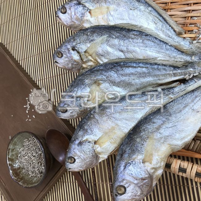 sealife, 물고기, fish, 조기, 굴비, 사진,이미지,일러스트,캘리그라피 - 산꼬디자인작가