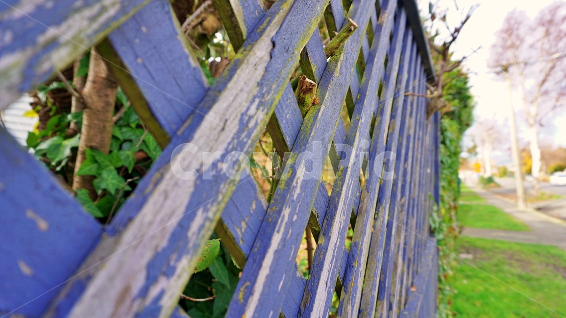 울타리,잎파리,파란색,나무,길,fence,leaf,blue,tree,road,way,ground