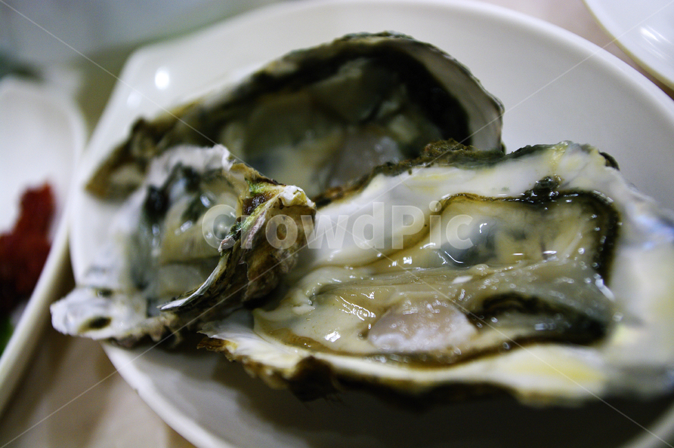 석화,굴,생굴,어패류,oyster,음식,식재료,요리,food,cook,meal,dishes,food reserves,수산물,해산물,fishery products,seafood