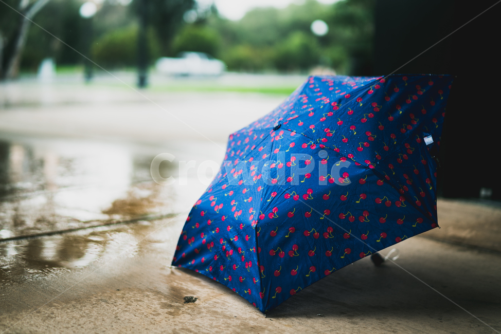 봄비,비,우산,촉촉,분위기,비,비오는날,rain,rainy,사물,물건,오브젝트,thing,object,matter