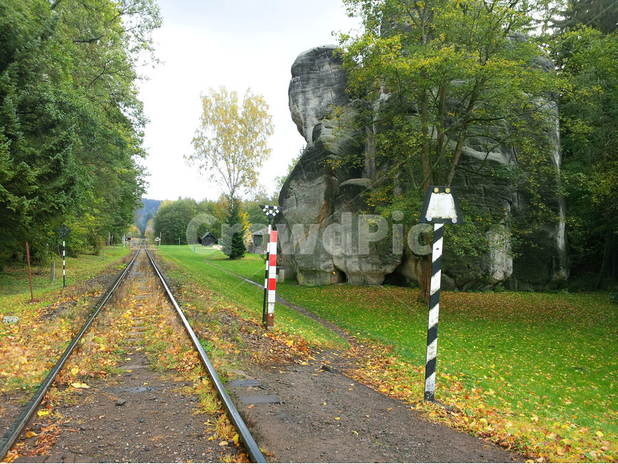 나무,자연,기찻길,풍경,길,가을,계절,fall,autumn,season,교통,교통수단,traffic,transportation,rail,레일,train track,railway,철도,dirt road,흙길,gravel,자갈,road,도로