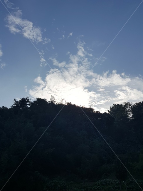 숲,하늘,구름,풍경,자연