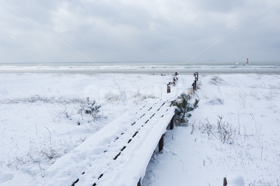 겨울,바다,해변,쌀쌀함,하늘,눈,winter,sea,sky,snow,풀,구름,흰눈,데크,자연,풍경,겨울,계절,winter,season,자연,풍경,nature,landscape,해변,바다,beach,sea,storm,폭풍,blizzard,눈보라,outdoors,옥외