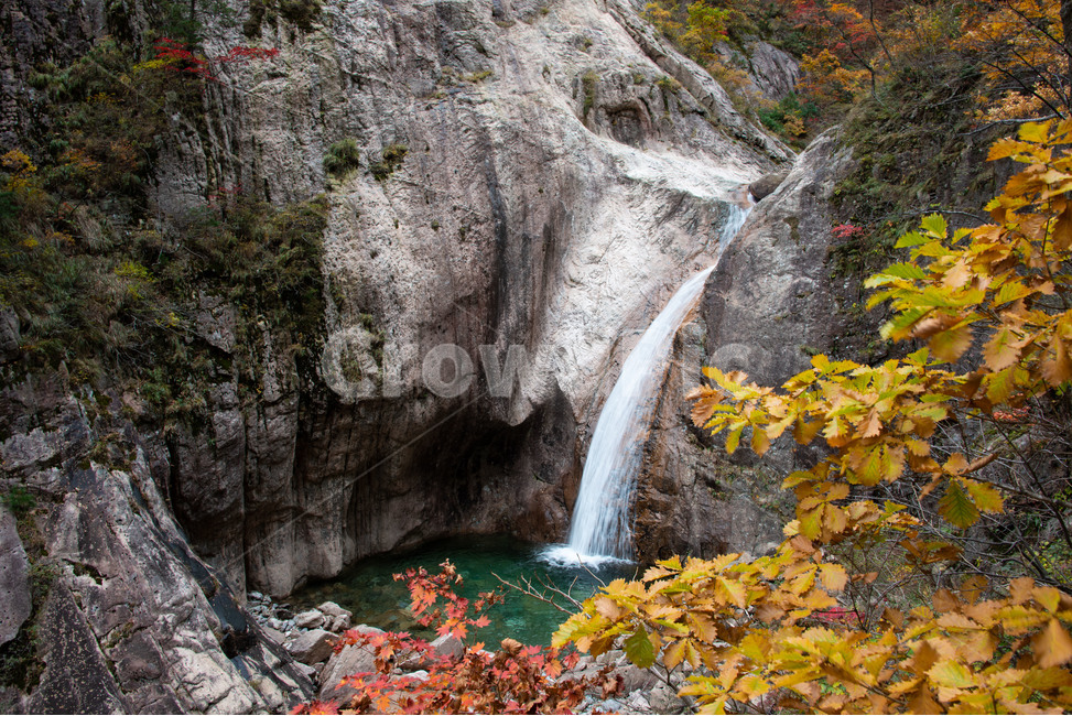 설악산,국립공원,가을,단풍,천당폭포,천불동계곡,옥빛소,가을,계절,fall,autumn,season,자연,풍경,nature,landscape,한국자연풍경,한국자연경관,korea nature landscape,water,물,leaf,잎,plant,식물,outdoors,옥외,river,강