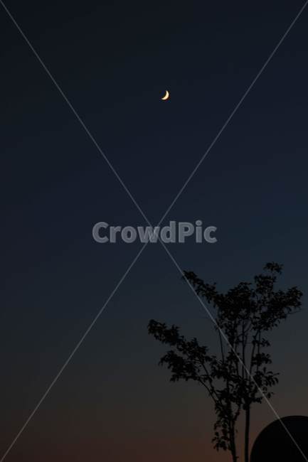 하늘,sky,달,moon,초승달,눈썹달,자연,감성,nature,자연,풍경,nature,landscape,야경,밤,nightscape,night,outdoors,옥외,astronomy,천문학,universe,우주,outer space,대기권 밖,space
