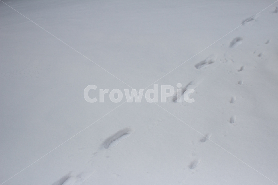 겨울,눈,발자국,흔적,눈오는날,겨울,계절,winter,season