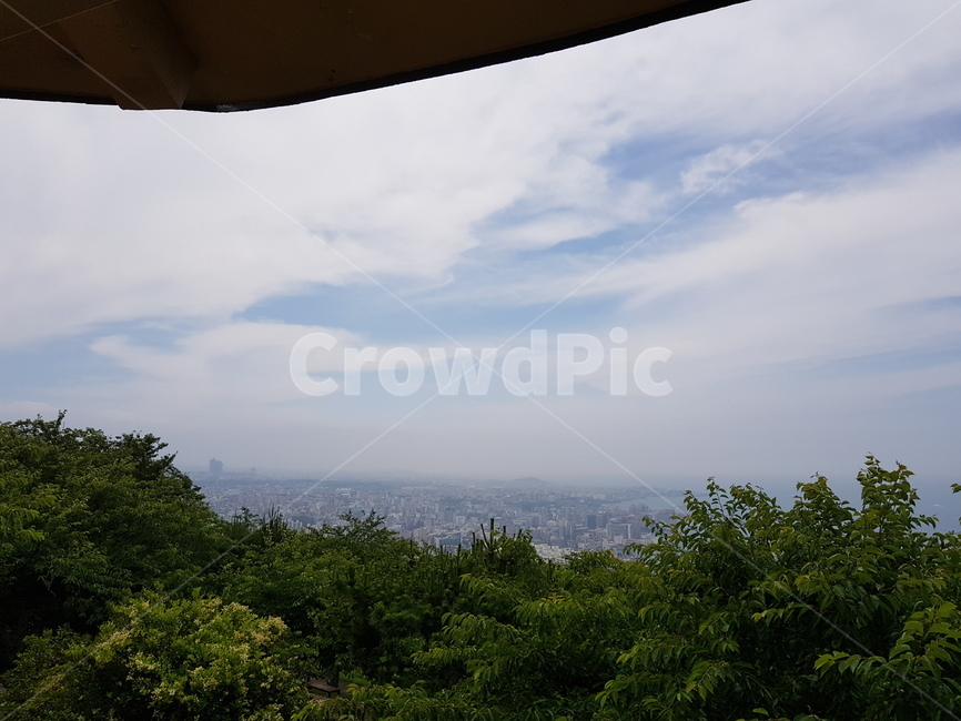 제주,사라봉,자연,nature,하늘,sky,구름,cloud,나무,tree,숲,forest,상쾌함,산정상