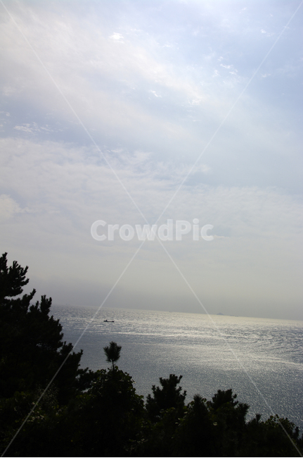 하늘,섬,바다,나무,풍경,자연,풍경,nature,landscape