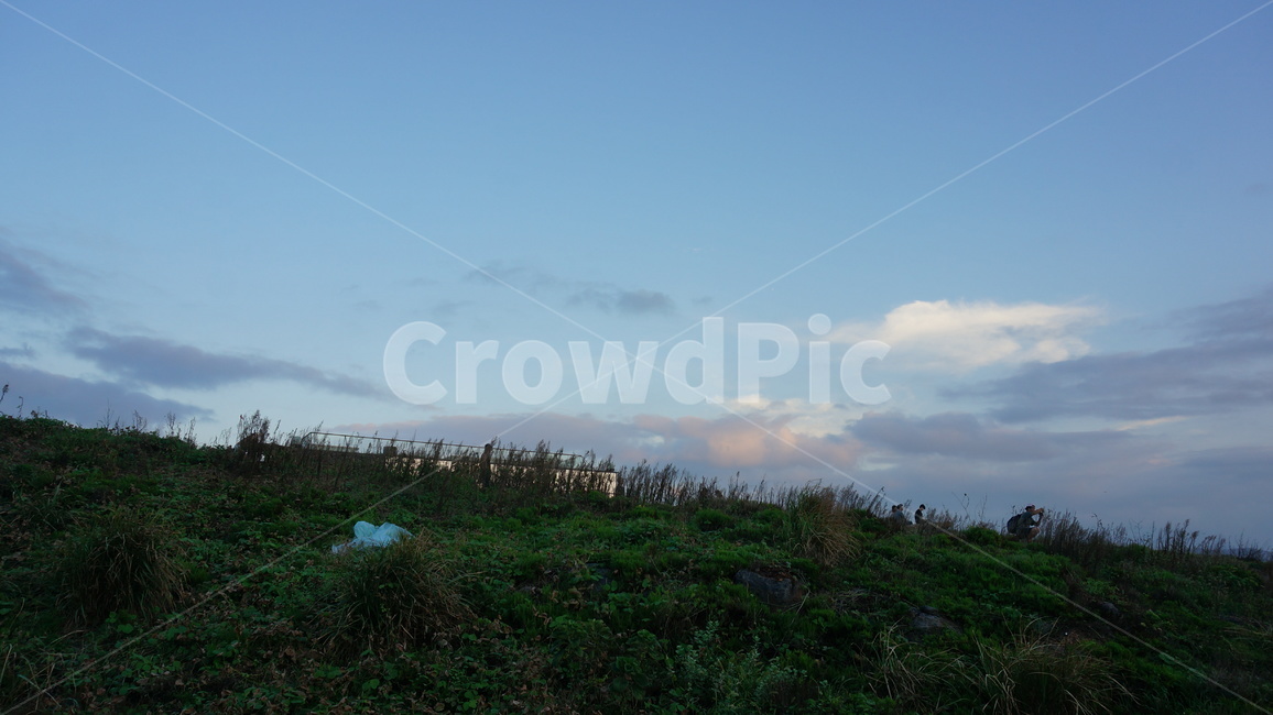 언덕,갈대,해질녁,구름,정상,꼭대기,하늘,sunset,hill,sky,cloud,잔디,푸른하늘,파란하늘,하늘색,오르다,오름,skyblue,초록색,green,밤하늘,풍경,자연,여유,여유로움,역광