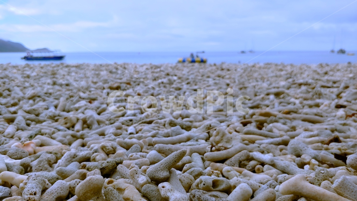 호주,오스트레일리아,피츠로이섬,피츠로이아일랜드,산호초,산호초해변,해변,바다,beach,sea