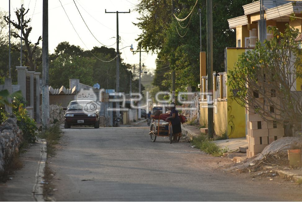 퇴근길,멕시코,엄마,집으로,유카탄,산타엘레나