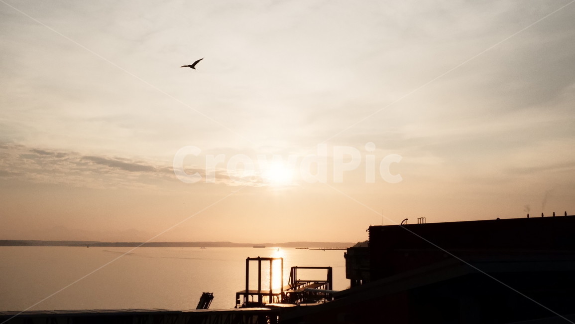 석양,sunset,역광,바다,감성사진