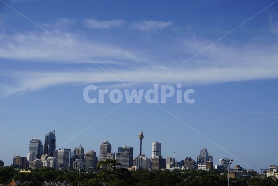 시드니,Sydney,자연,nature,호주,australia,하늘,sky,풍경,scenery,도시,city,도시,풍경,city,landscape,해외,외국,세계,foreign,oversea,world,세계도시풍경,해외도시풍경,외국도시풍경,world cityscape,outdoors,옥외
